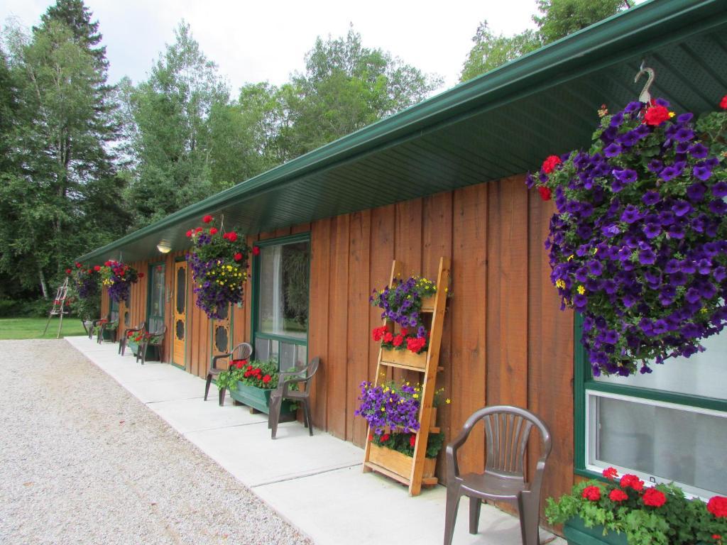 Dwight Village Motel Exterior foto